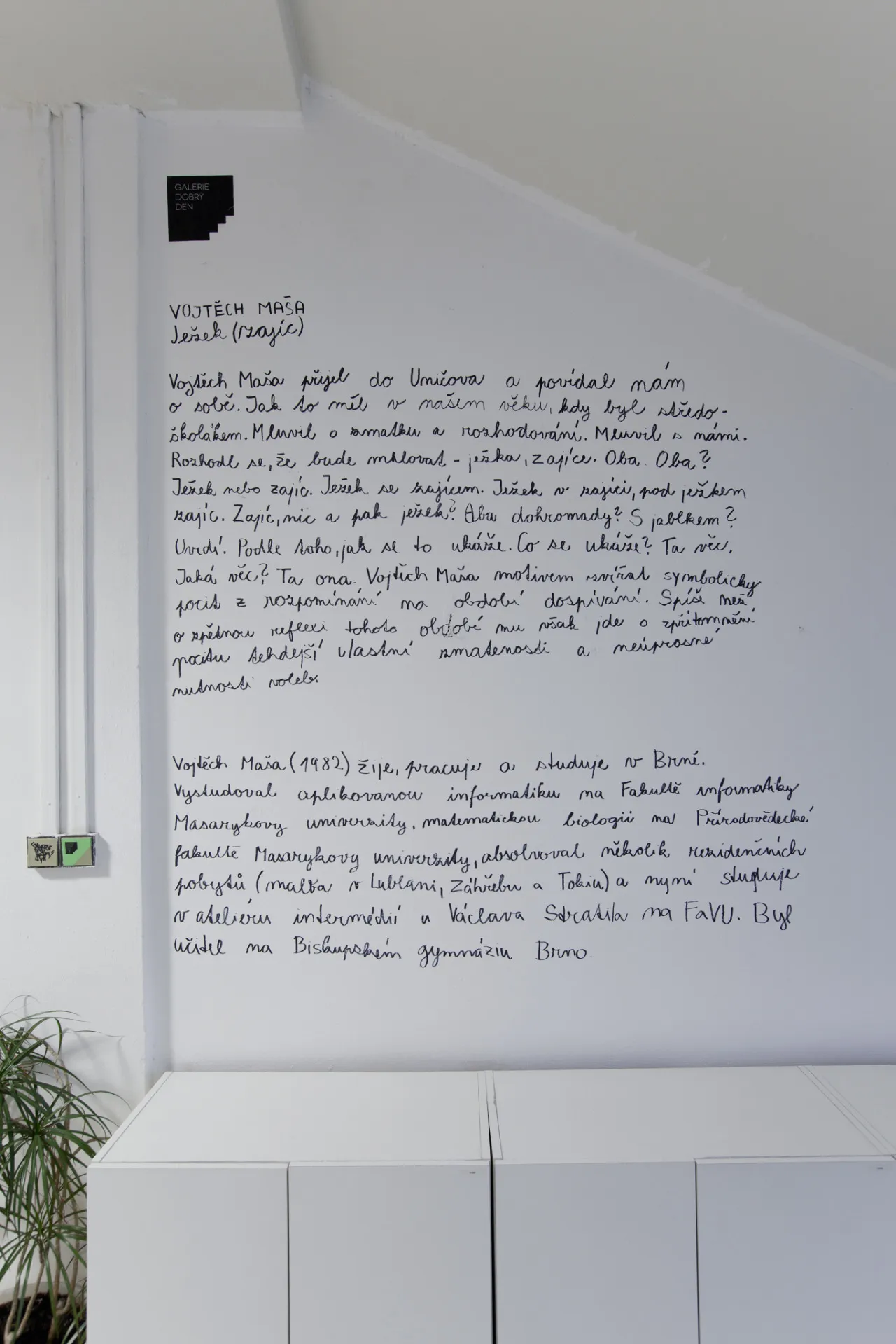 Barbora Kleinhamplová: Invisible Hand — 6